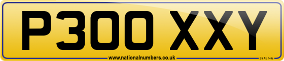 P300 XXY