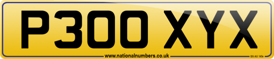 P300 XYX