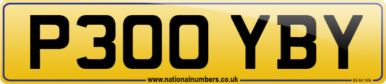 P300 YBY