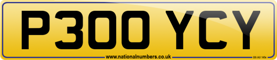 P300 YCY