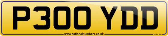 P300 YDD