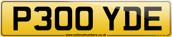 P300 YDE