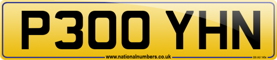 P300 YHN