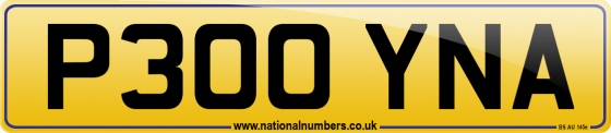P300 YNA