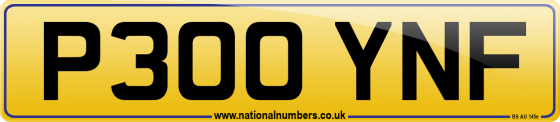 P300 YNF
