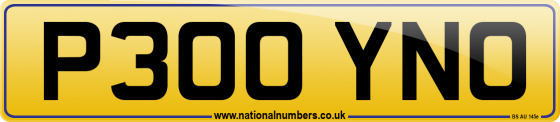 P300 YNO