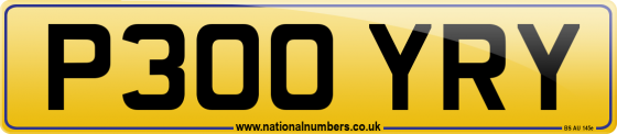 P300 YRY