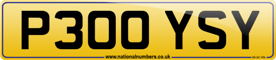 P300 YSY