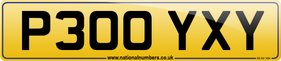 P300 YXY
