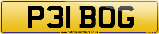 P31 BOG