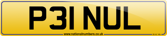 P31 NUL
