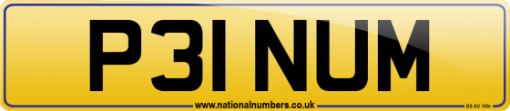 P31 NUM