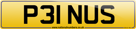 P31 NUS