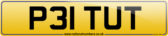 P31 TUT