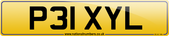 P31 XYL