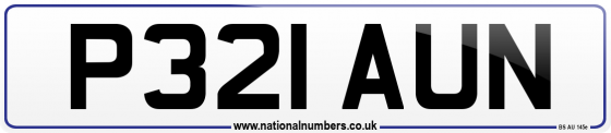 P321 AUN