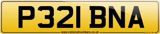 P321 BNA