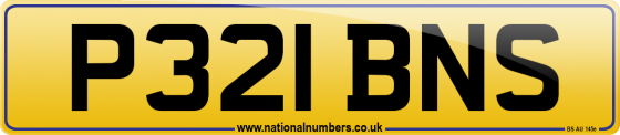 P321 BNS