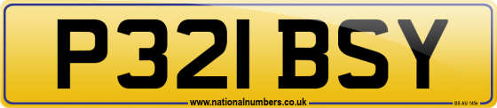 P321 BSY