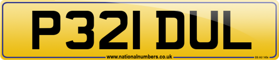 P321 DUL