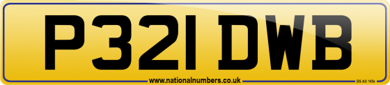 P321 DWB