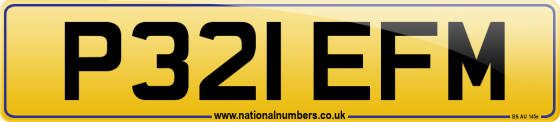 P321 EFM