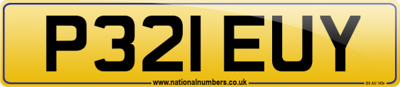 P321 EUY