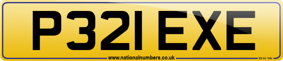 P321 EXE