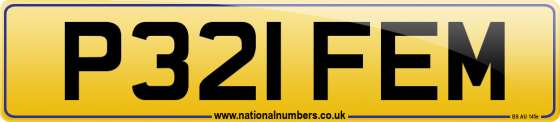 P321 FEM