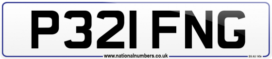 P321 FNG