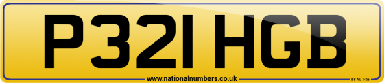 P321 HGB