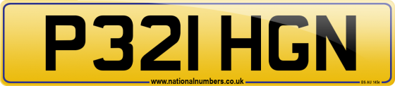 P321 HGN