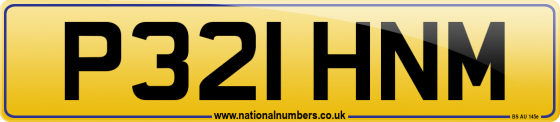 P321 HNM