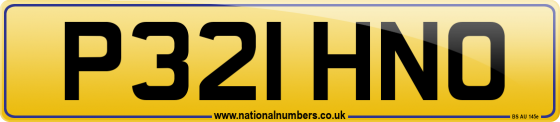 P321 HNO