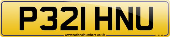 P321 HNU