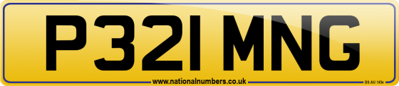 P321 MNG