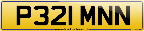 P321 MNN