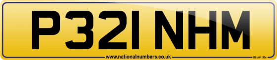 P321 NHM