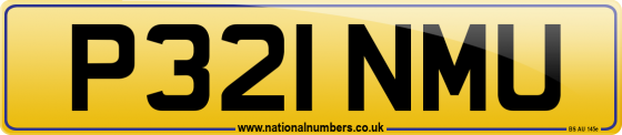 P321 NMU