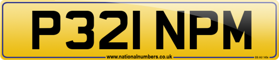 P321 NPM