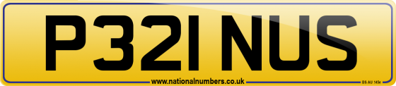 P321 NUS