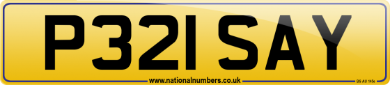 P321 SAY