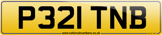 P321 TNB