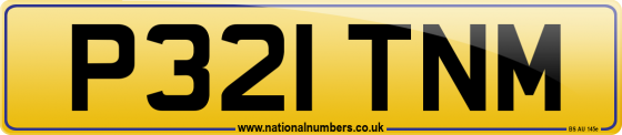 P321 TNM