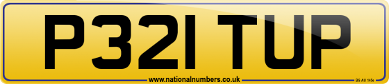 P321 TUP