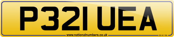 P321 UEA