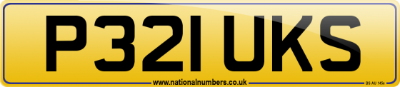 P321 UKS