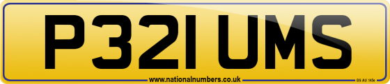 P321 UMS