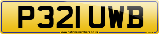 P321 UWB