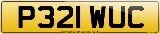 P321 WUC